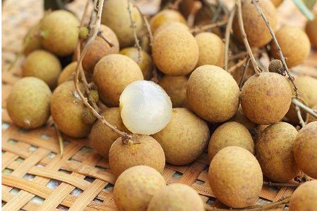 1578302354786140.jpg 桂圆的功效与作用