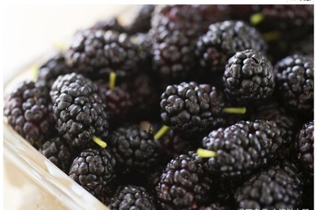 1578545538490670.jpg 维生素