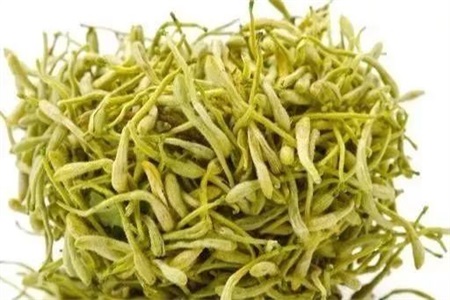 1576055265499500.jpeg 黄芪