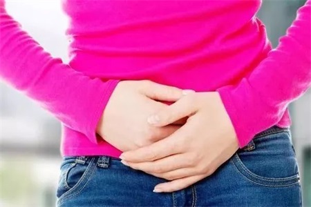 1576055275978370.jpeg 黄芪的功效与作用