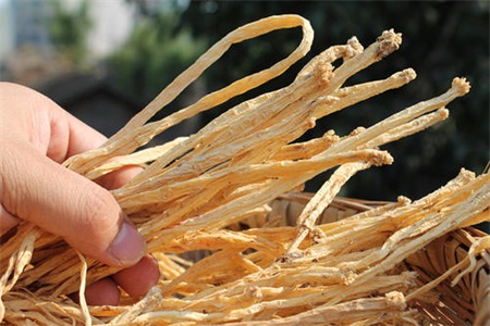 1573457726156007.jpg 党参的功效与作用