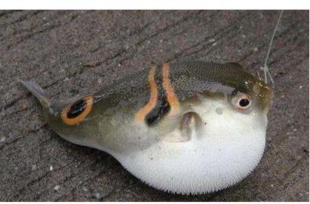 1560752821714018.jpg gdsg.jpg