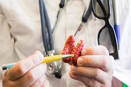 1561453622436260.jpg q.jpg