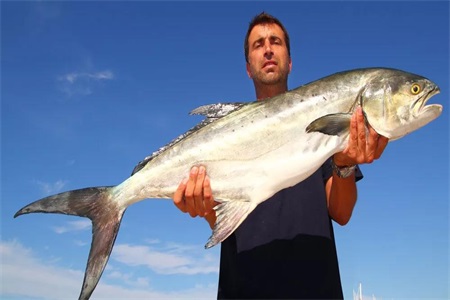 1561693822801171.jpg g.jpg