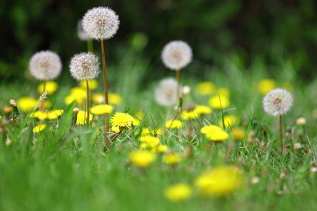 1539752154266003.jpg y1.jpg