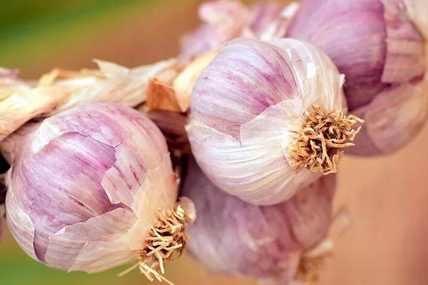 抗癌食物不抗癌，是因为妈妈忽略了这些……