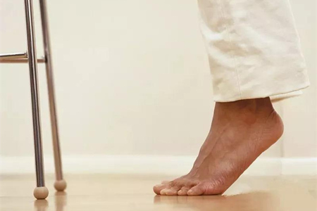 1535013562596065.jpg b.jpg