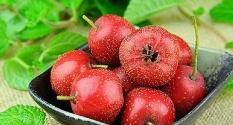 长期喝桃花茶有什么好处 长期喝桃花茶有什么好处