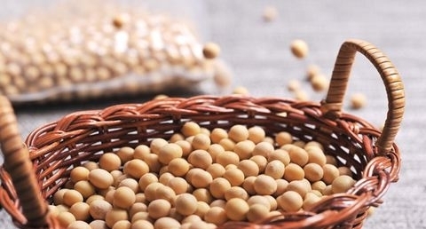 有助降血压的食物 有助降血压的食物