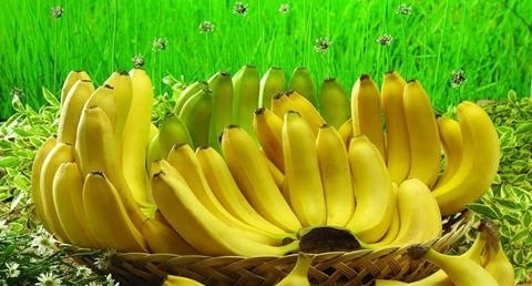 有助降血压的食物 有助降血压的食物