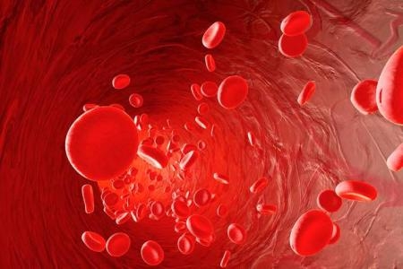 1526636612933351.jpg smy2018051811.jpg