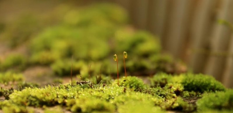 第一次约女生出来玩,该约她去什么地方