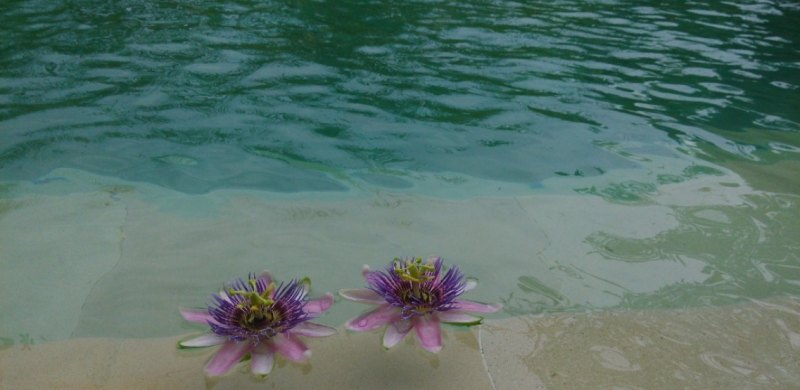 可以传几张你手机的照片，让大家欣赏一下吗