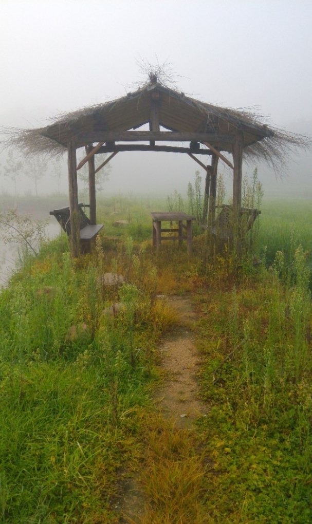 可以传几张你手机的照片，让大家欣赏一下吗