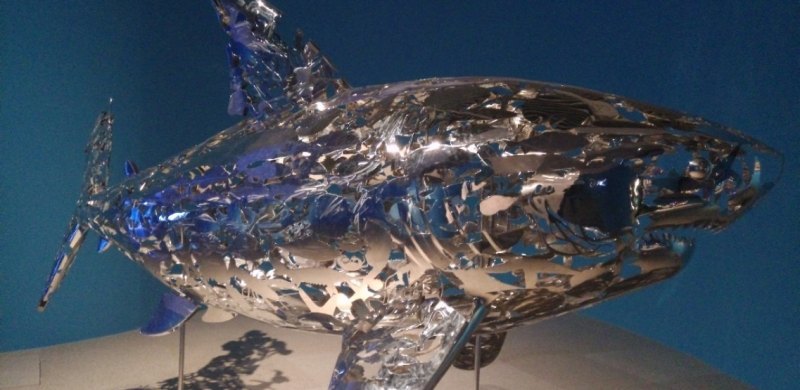 可以传几张你手机的照片，让大家欣赏一下吗