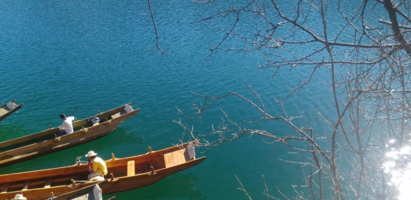 可以传几张你手机的照片，让大家欣赏一下吗