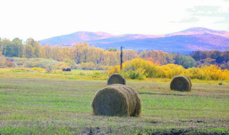 家在大连,想去草原玩几天,比较近的有哪里