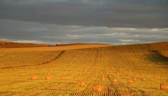 家在大连,想去草原玩几天,比较近的有哪里