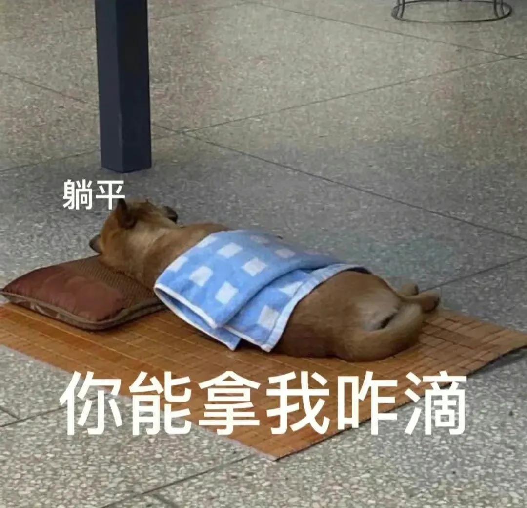 表情包:我要和你原地结婚