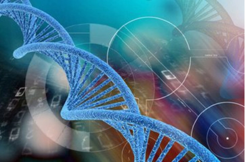 2025 年苏州允许单身没有结婚证做试管婴儿吗?较新政策公布!