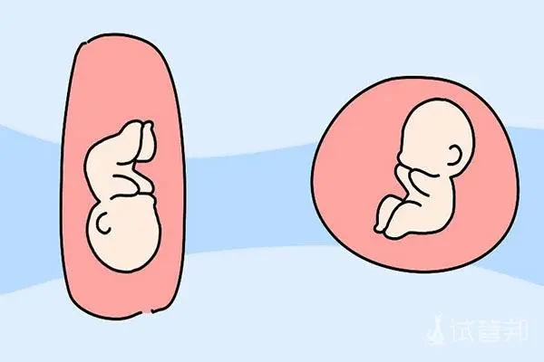 2025 年台北允许单身没有结婚证做试管婴儿吗?较新政策公布!